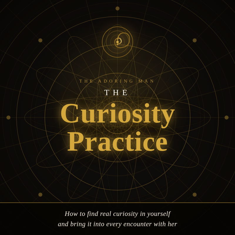 The Curiosity Practice